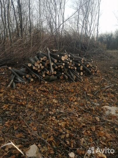 Продам дрова