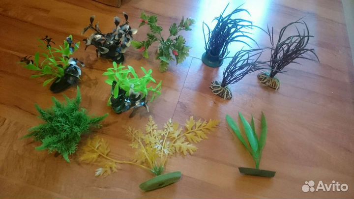 Растения для аквариума