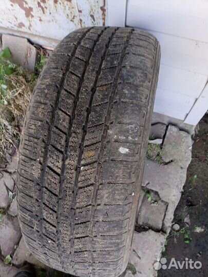 Tracmax Ice-Plus S100 205/55 R16