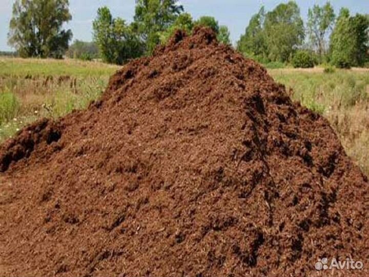 Навоз, перегной