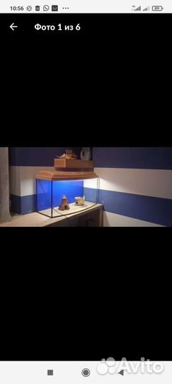 Большой аквариум