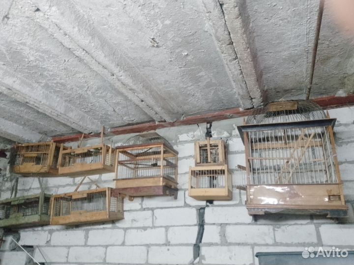 Клетки для птиц