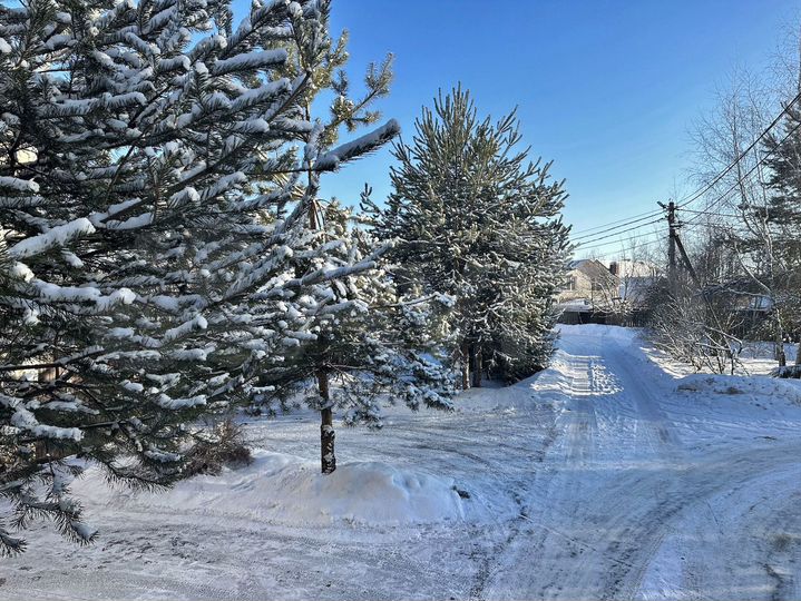 Участок 10 сот. (ИЖС)