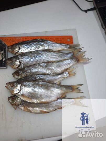 Икра воблы вяленая/Вобла вяленая из Астрахани