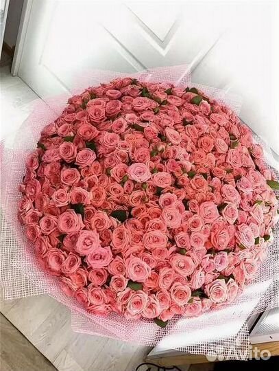 Букет. Цветы. Розы с доставкой