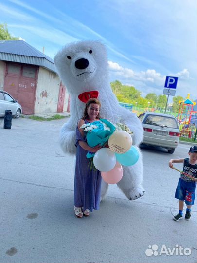 Белый мишка поздравление.Белый мишка.Зайка