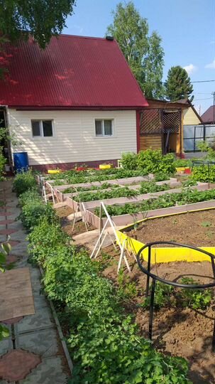 Дача 60 м² на участке 4,2 сот.