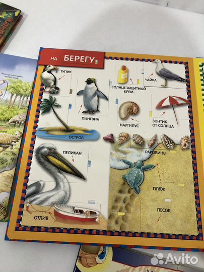 Детская энциклопедия. книга с окошками