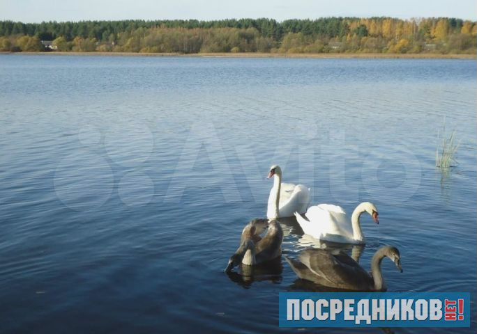 Участок 9 га (СНТ, ДНП)