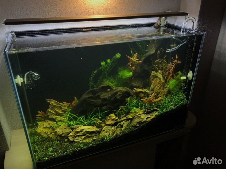 Чистка аквариумов в Самаре