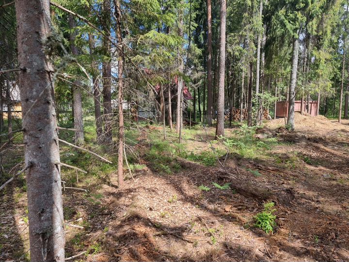 Участок 16 сот. (ИЖС)