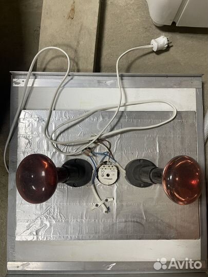 Брудер для цыплят