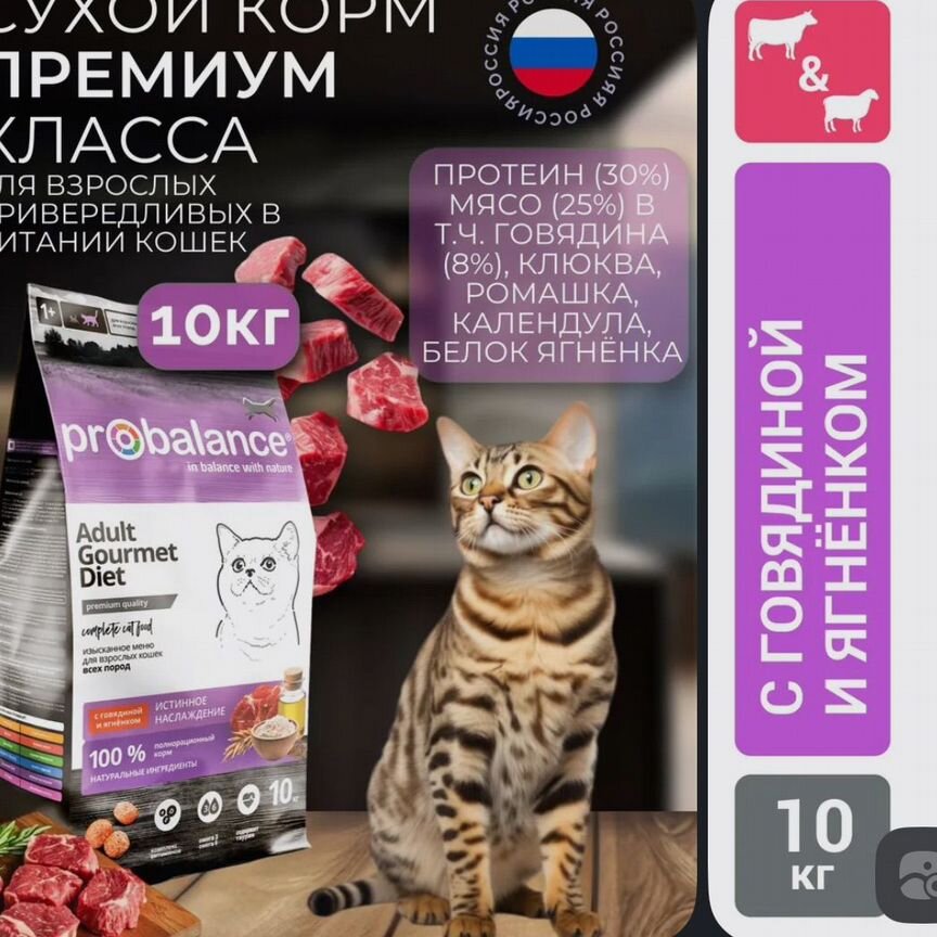 Корм для кошек