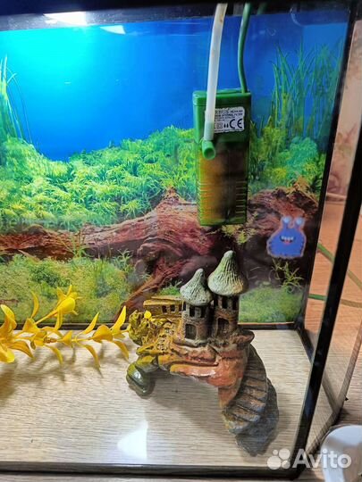 Аквариум