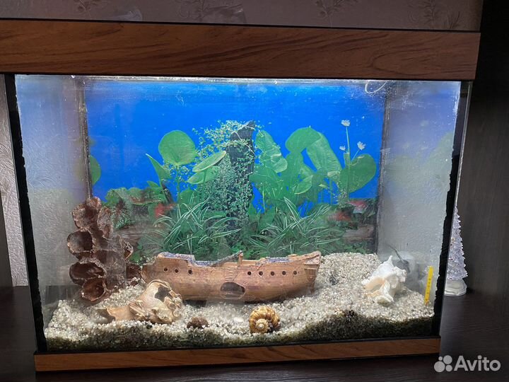 Аквариум