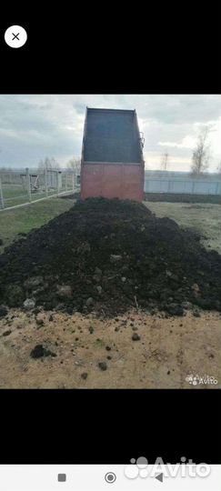 Перегной навоз