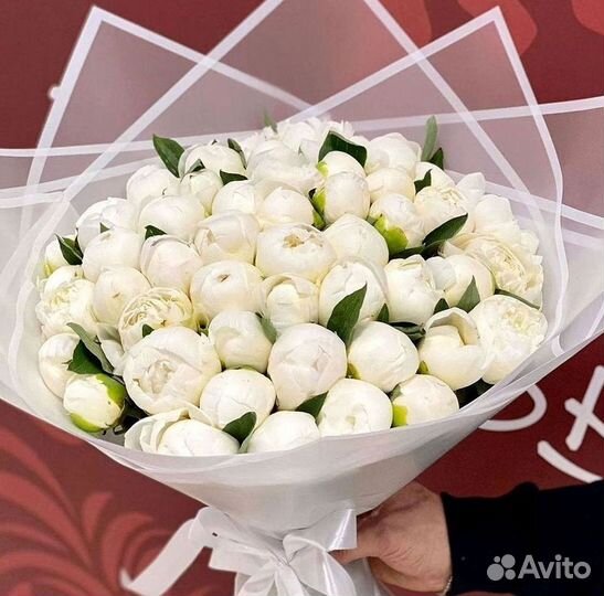 Пионы Цветы Доставка