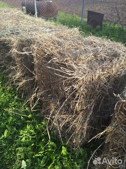Продам сено в тюках