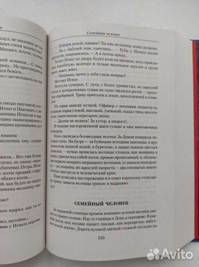 Михаил Шолохов «Они сражались за Родину»