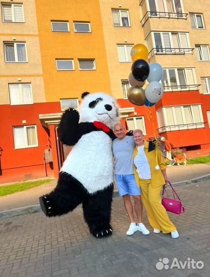 Аниматор. Белый мишка.Панда