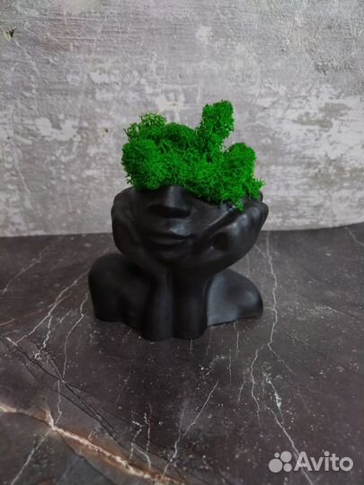 Кашпо со стабилизированным мхом