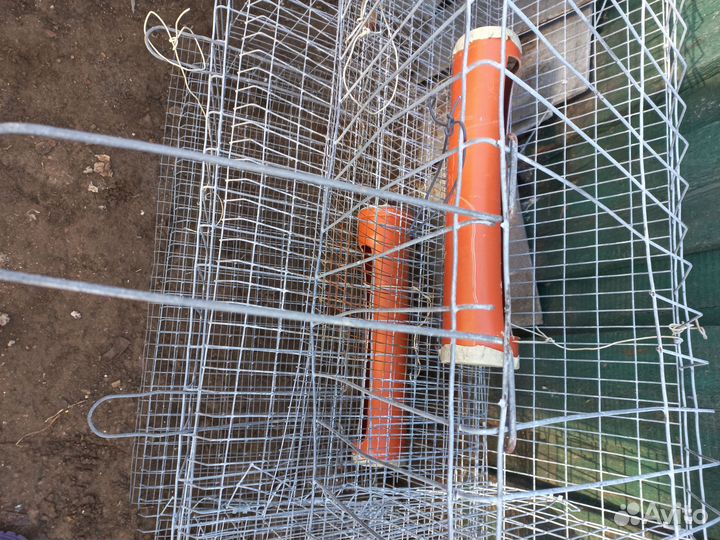 Клетка для куриц