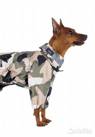 Дождевик-комбинезон Премиум р11 Laira