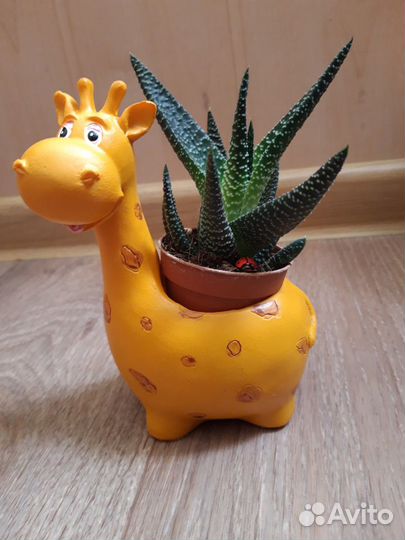 Кашпо керамика новые