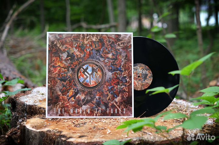 Виниловые пластинки