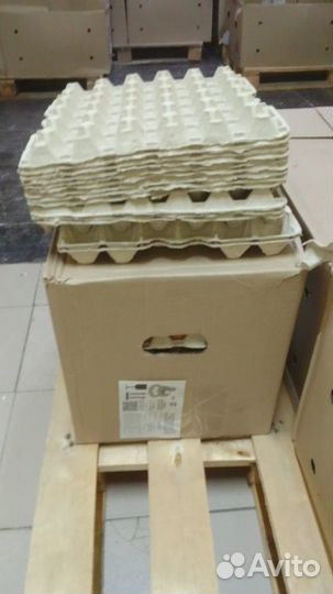 Ячейки для яиц