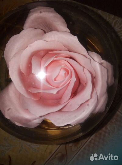 Мыльные розы в куполе