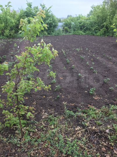 Участок 6 сот. (СНТ, ДНП)