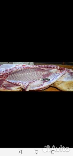 Мясо свинина домашняя