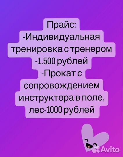 Прокат на лошади