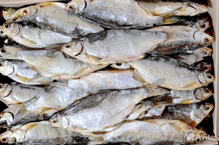 Вяленая Астраханская Вобла