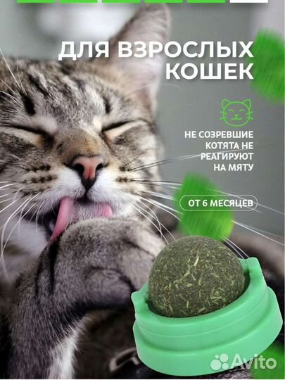 Кошачья мята игрушка