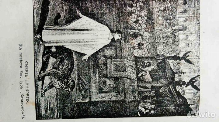 Книга с иллюстрациями 