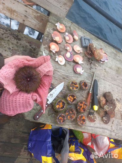 Шеф-повар, бренд-шеф