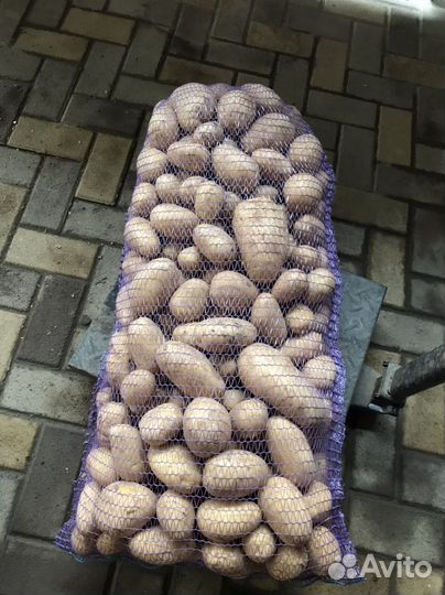 Продам картофель