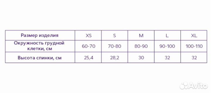 Корректор осанки evo