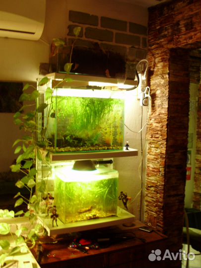 Аквариум