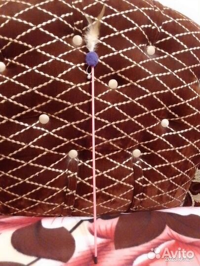 Лоток и прочие принадлежности для вашего питомца