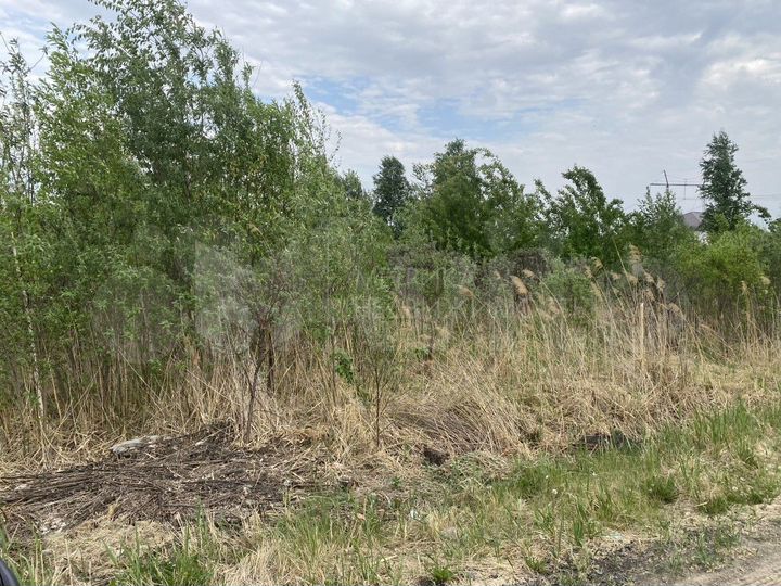 Участок 11 сот. (СНТ, ДНП)