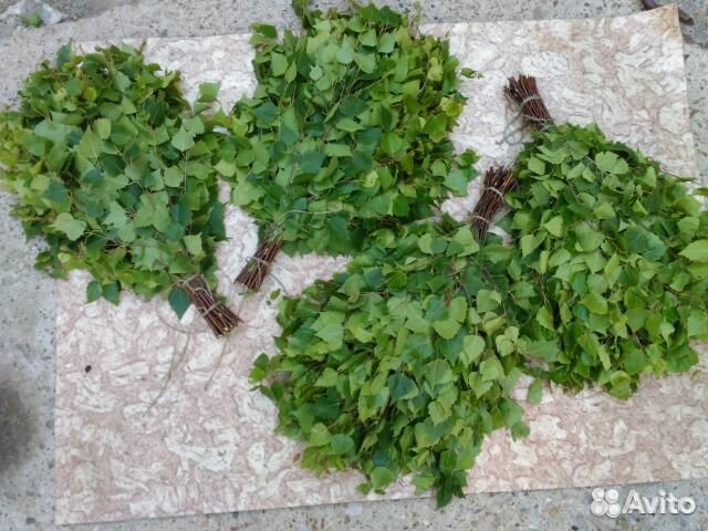 Березовые веники в сетке 2023