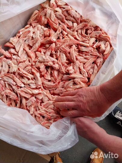 Локоть, кисть крыла куриные