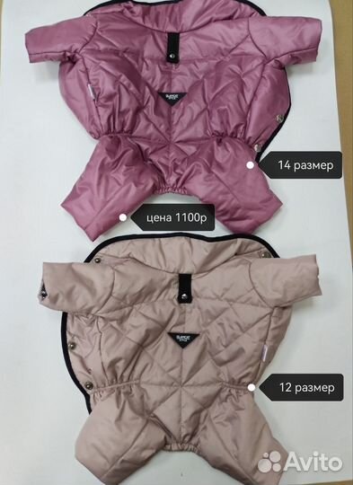 Новая Одежда для собак мелких пород glamcat