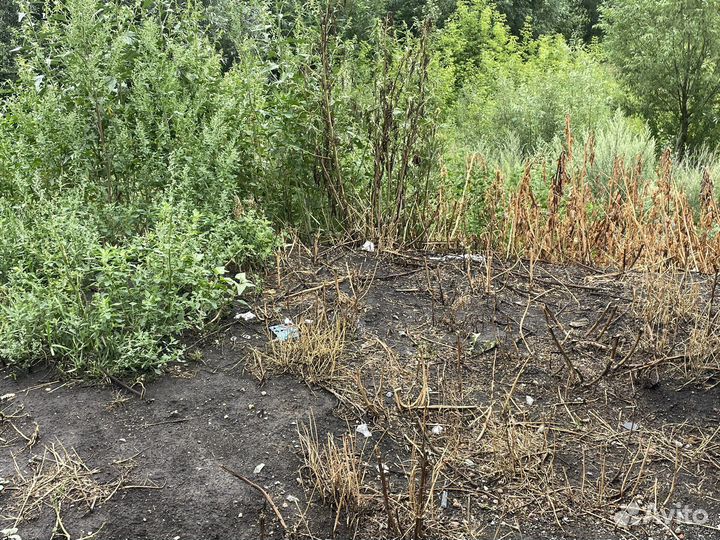 Гербицид сплошного действия