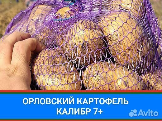 Картофель Оптом