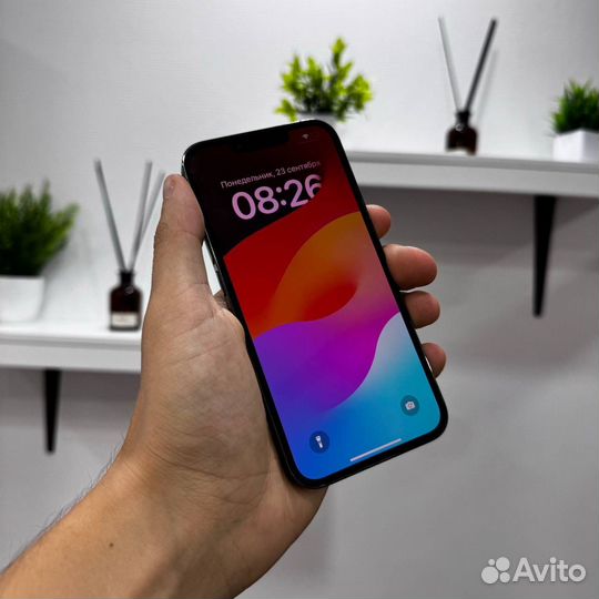iPhone 13 Pro, 256 ГБ