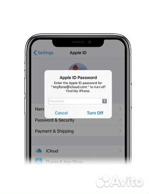 Разблокировка Apple iPhone iPad iWatch